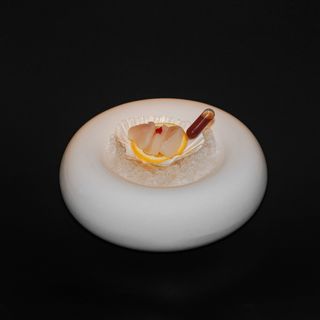 Capasanta canadese - 1 pezzo