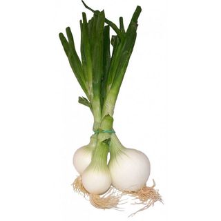 Cebolleta Manojo 3 Uds
