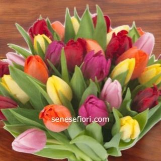 Bouquet 10 tulipani