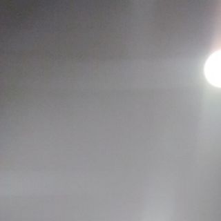 COSCIA E SOVRACCOSCIA DI POLLO