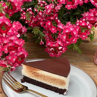 Ptičije mlijeko 90 gr