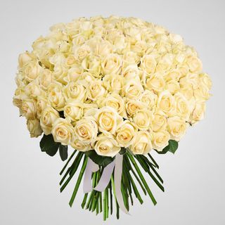 Букет з 101 кремової троянди