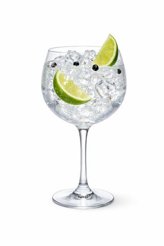 Gin Tonic Classic XXL 1L