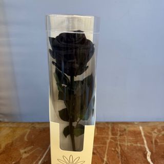 Rosa eterna con tallo color negra