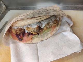 Vegetariana - vegetariano