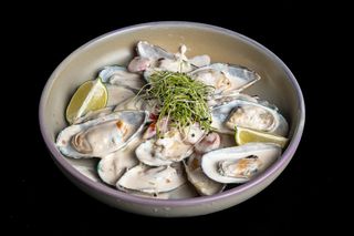 Midii GREEN SHELL in sos  DORBLU