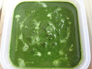Plain palak 