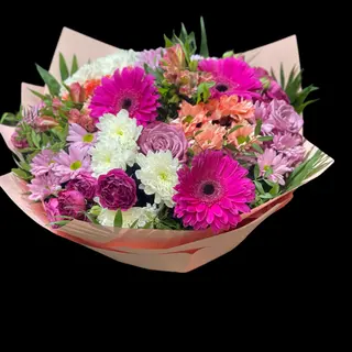 Ciclamen Bloom