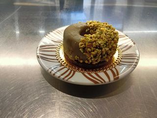 Cremoso al pistacchio e cioccolato con biscotto al cioccolato