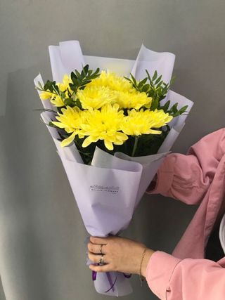 
ქრიზანთემა ევკალიპტი 