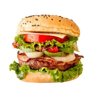 Sandwich Burger