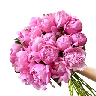  Bouquet of  11 peonies