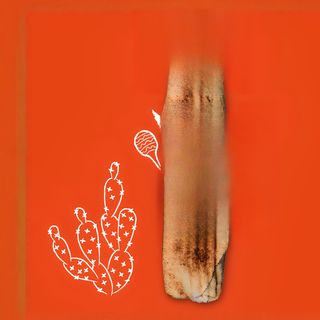 Rollo Zahir Hot Spicy (małe)