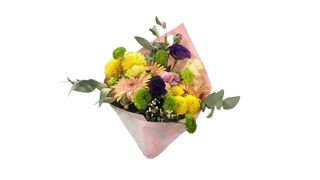 #2 ფერების ჰარმონია