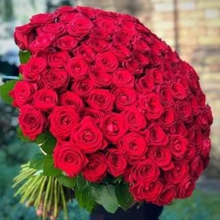 100 roses rouges love 