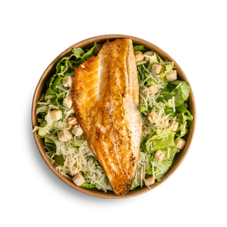 Цезар с Филе от Лаврак