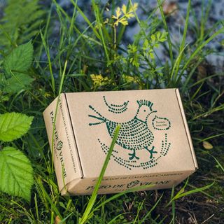 Media docena de huevos camperos de gallinas en libertad 