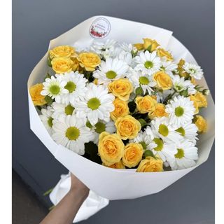  თაიგული "სანი"