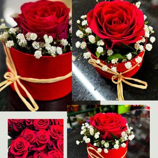 Mini Bouquet (1 Rosa)