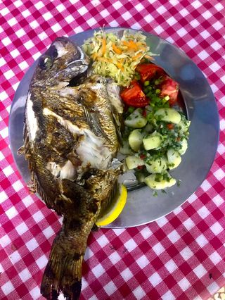 Фагри за двама