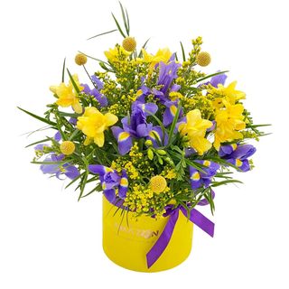 Cutie iriși și frezii