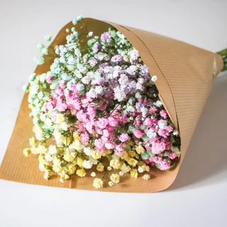 Bukiet kolorowej gipsówki S 