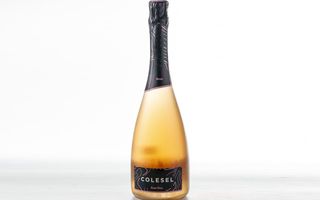 Colesel Brosa Prosecco Brut Rose 75 cl