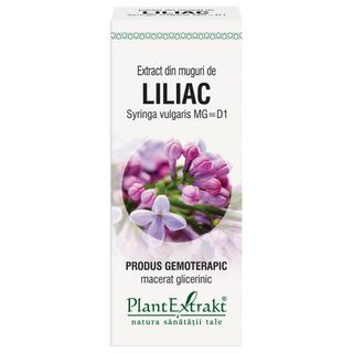 Extract din muguri de liliac (SYRINGA VULG.)