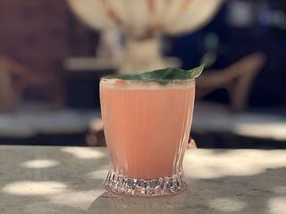 Liquid Coral (100мл)