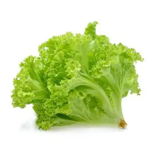 SALATA CREATA (kg)