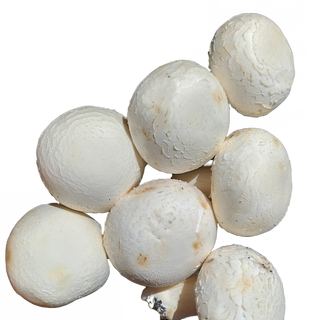 Champiñón Entero Bandeja (Aprox 250 Gr.)