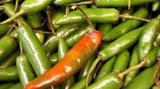 Jalapeños (4 uds.)