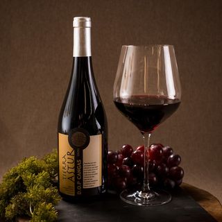 Vino tinto crianza DOP Cangas Tierra Astur (14282)