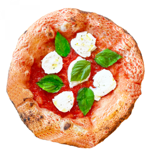 Santa Bufala We Trust