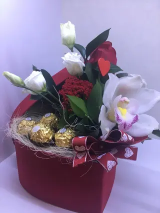 Cutie mix 24