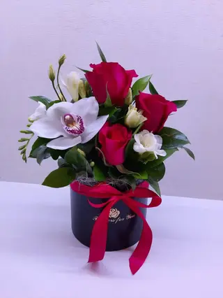 Cutie mix 9