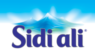 Water - Sidi Ali - 0.5L