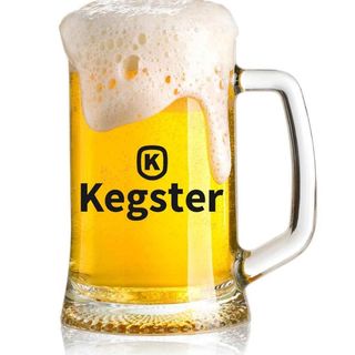 Пиво Kegster Lager (1л)