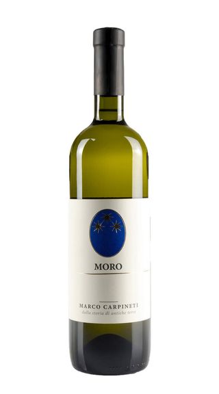 Moro Marco Carpineti 2021