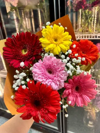 Ramo Gerbera
