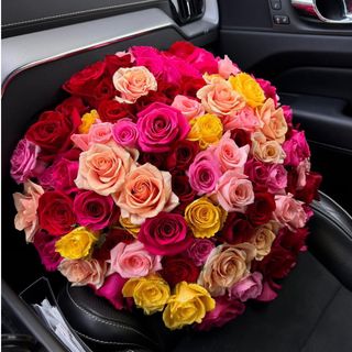 85 Mixed Premium Roses