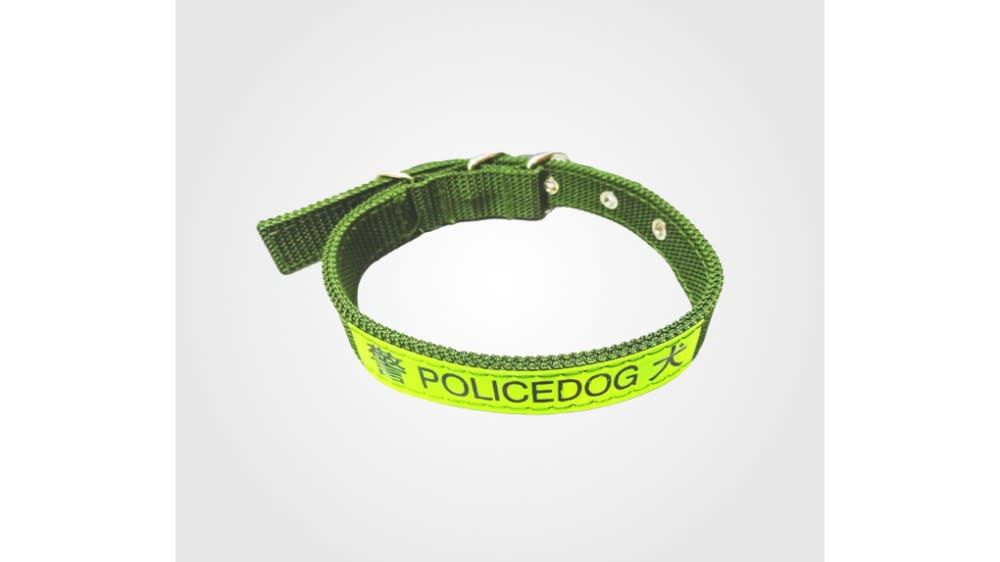 ძაღლის საყელოები და საბელები