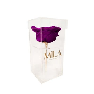 Mila Acrylic Single XXL