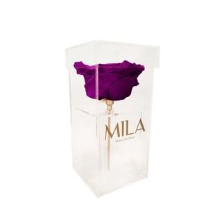 Mila Acrylic Single XXL