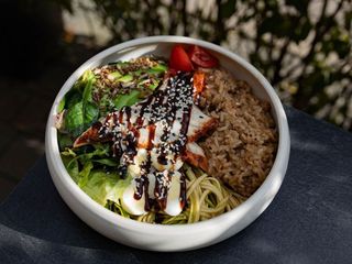 Боул з вугром (360g)