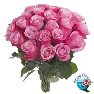 Composizione di 24 rose rosa