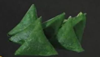205) Samosa vegetale verdure