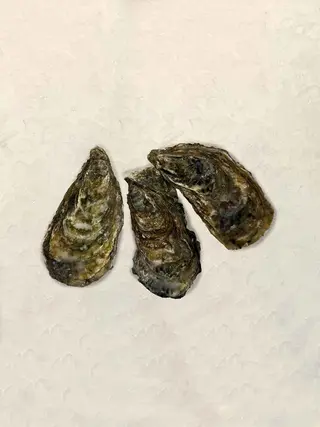 Ostra Francia Nº3 (1 Ud.)