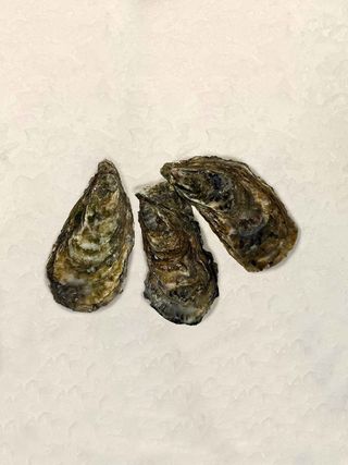 Ostra Francia Nº3 (1 Ud.)