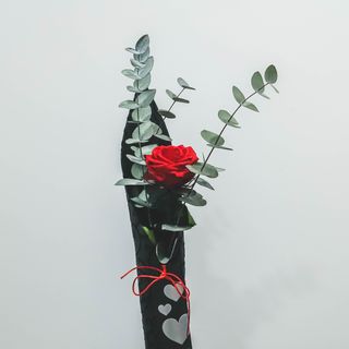 Cucurucho pasión eterna